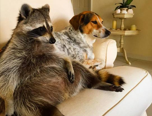 引爆市场格局的手机号狂轰滥炸软件