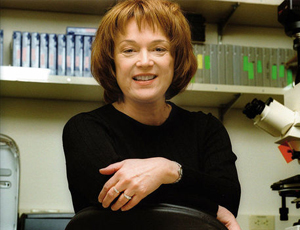 在线短信轰炸机网页版